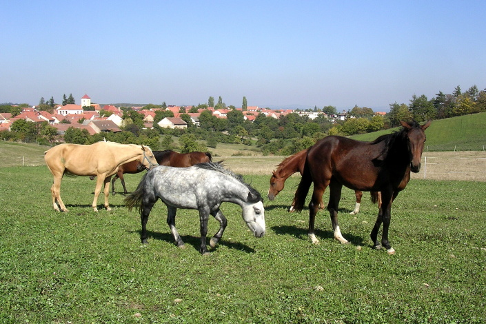 Jupíček_9-07