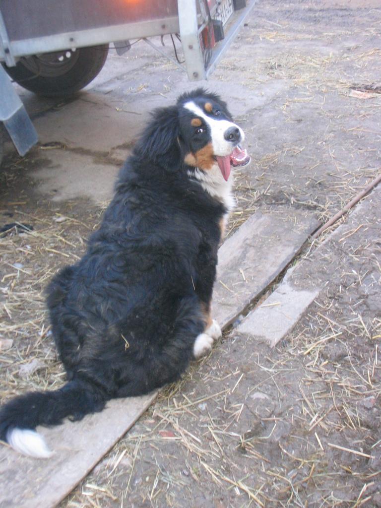 Deňulka