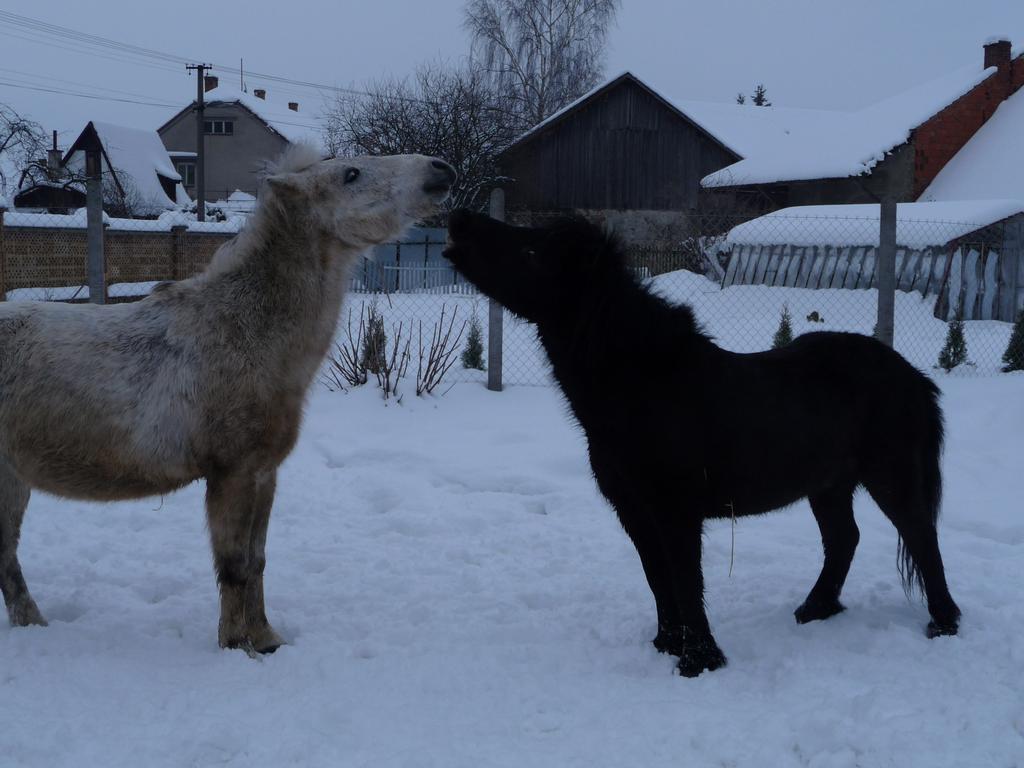 Viti and Čertík