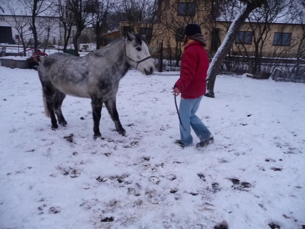 Kaida s Juptem přirozka