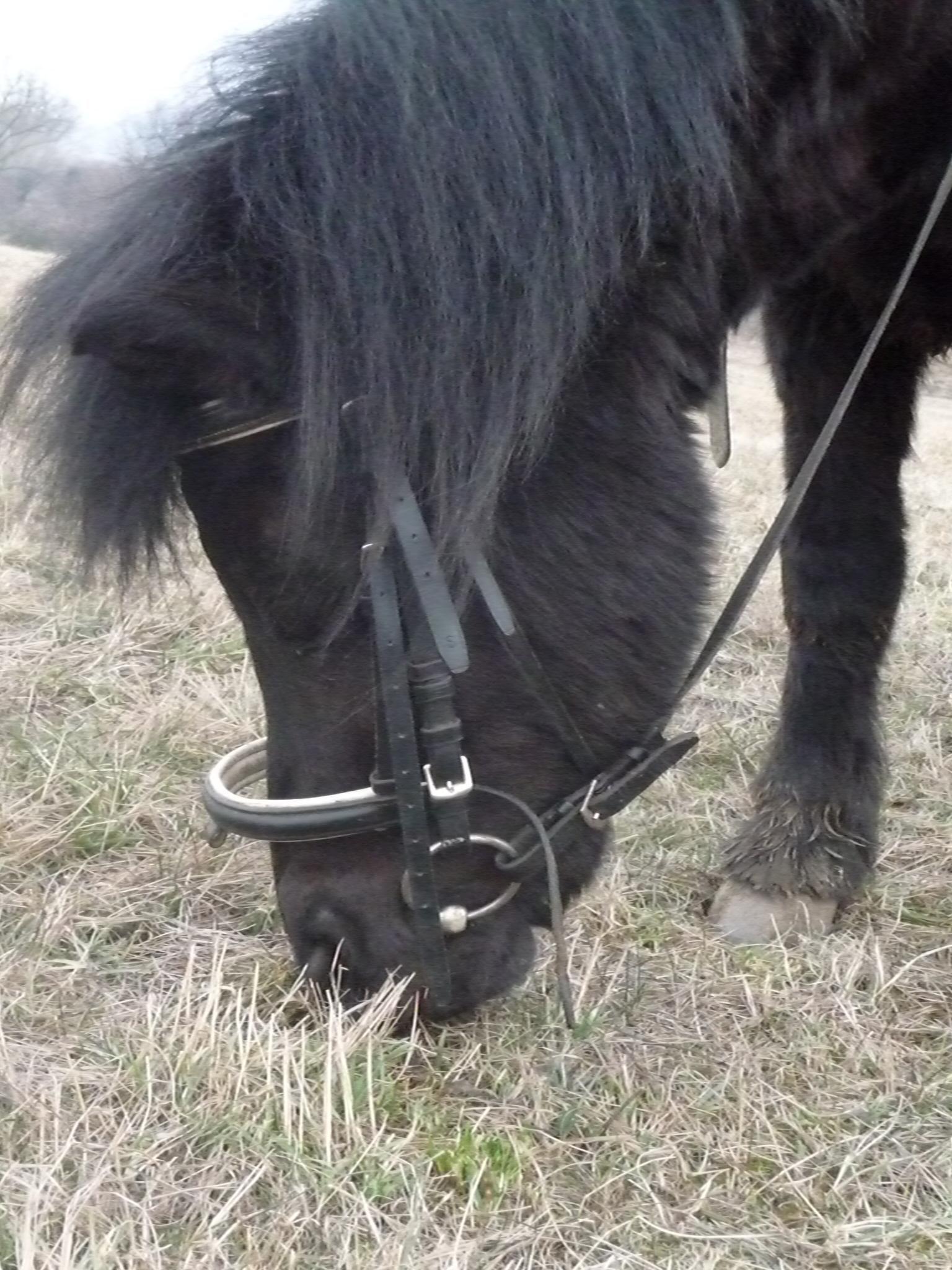 Čertík♥♥♥